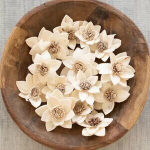 Natural Dried Rukmani Flowers - Bag of 16 (2.5"D), White, Botanical, Vase Filler